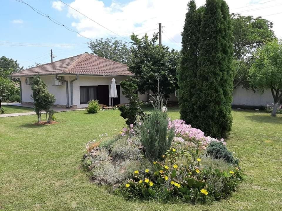 Guesthouse Oasis-シャブラ エクステリア 写真