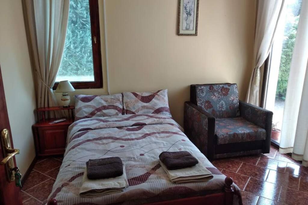 Guesthouse Oasis-シャブラ エクステリア 写真