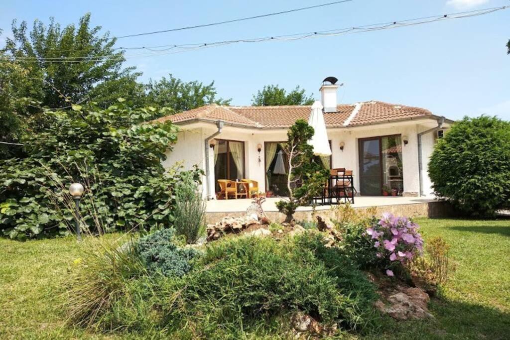Guesthouse Oasis-シャブラ エクステリア 写真