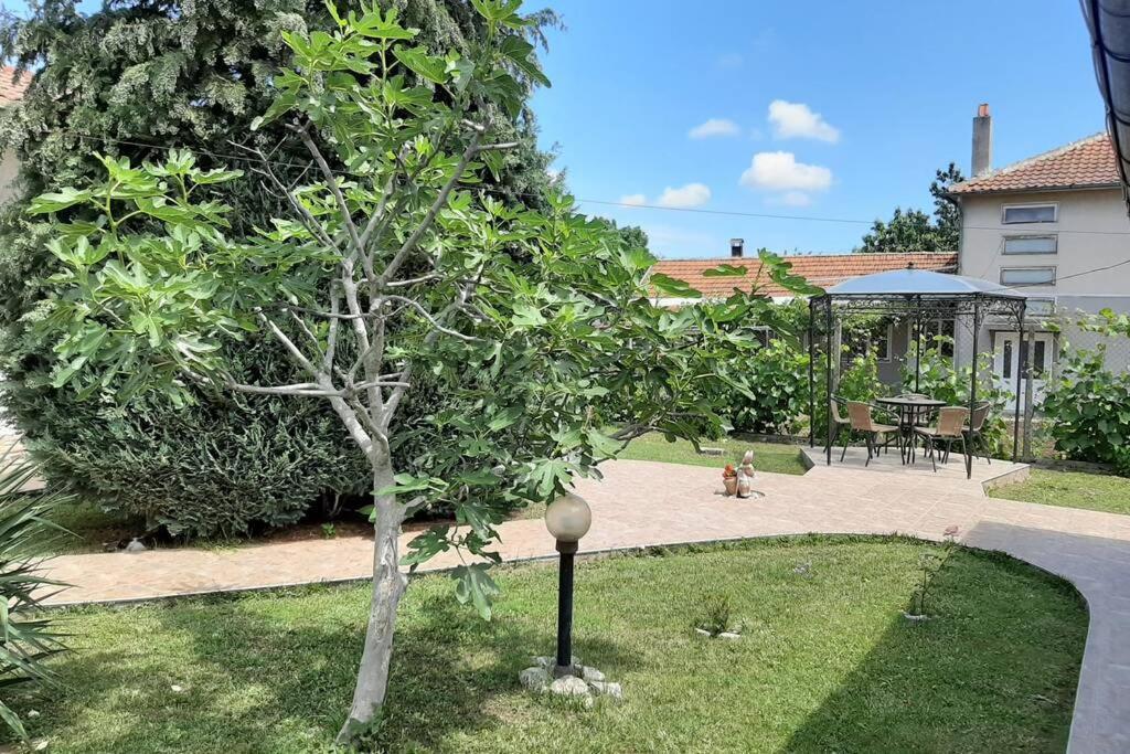 Guesthouse Oasis-シャブラ エクステリア 写真