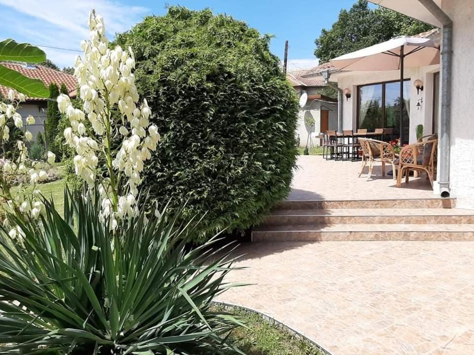 Guesthouse Oasis-シャブラ エクステリア 写真